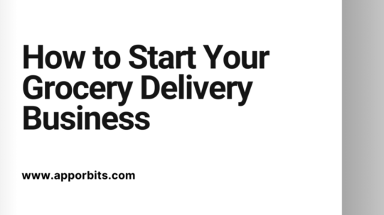 How to Start Your Grocery Delivery Business