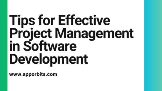 Tips for Effective Project Management in Software Development