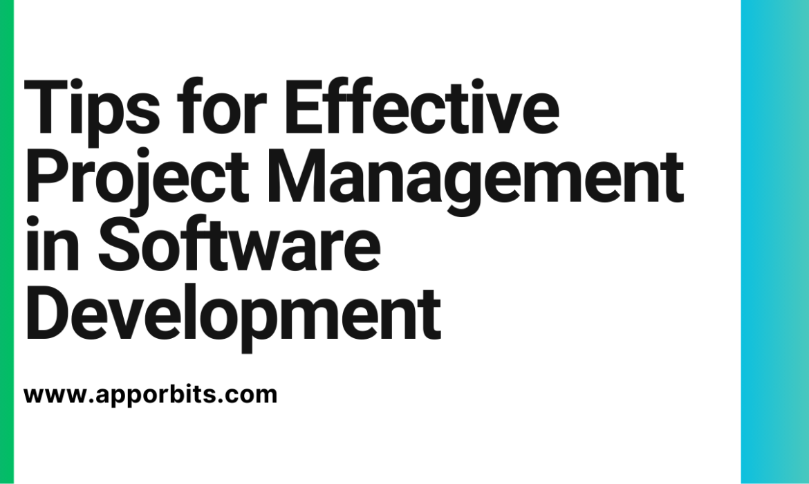 Tips for Effective Project Management in Software Development