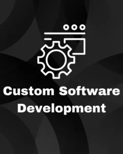 custom software development services